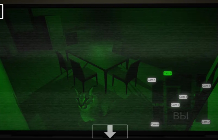 Five nights at Floppa 3 screenshot 2