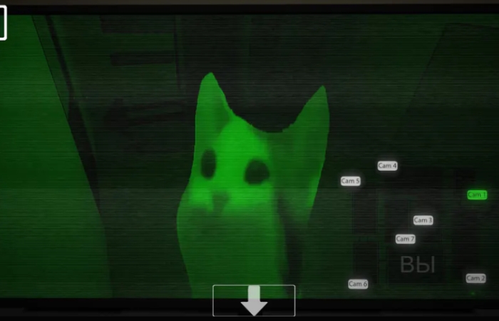 Five nights at Floppa 3 screenshot 4